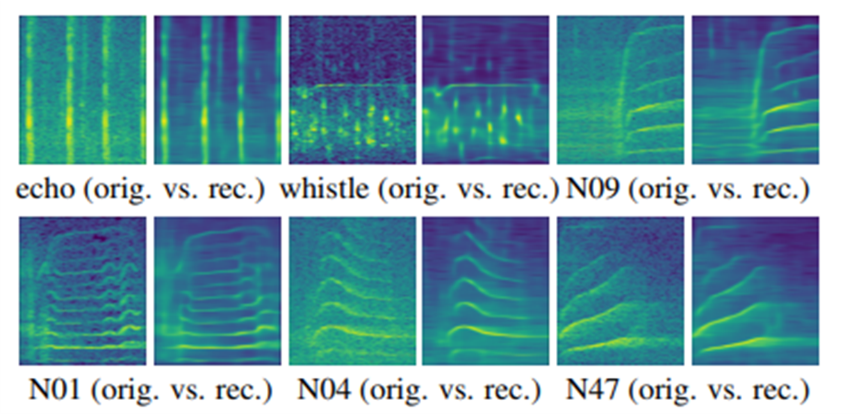 This image shows the results from the Autoencoder reconstructing the original image from various whale type calls